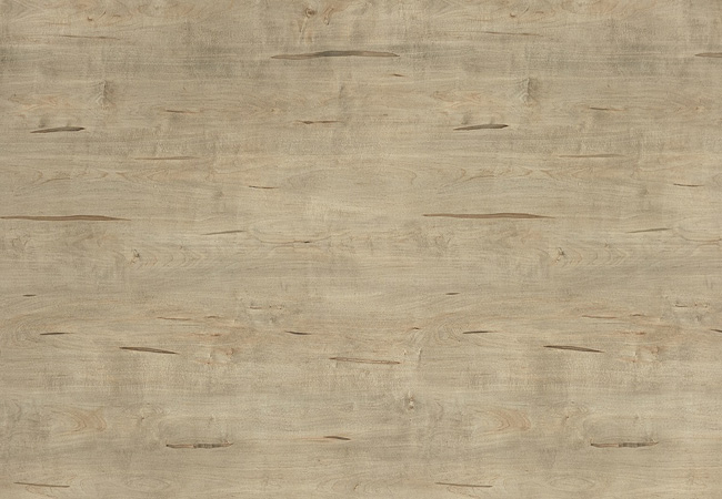 楓木草莓视频APP色版下载安装防火板