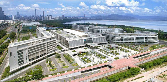 草莓视频色版下载工程案例之香港大學深圳醫院